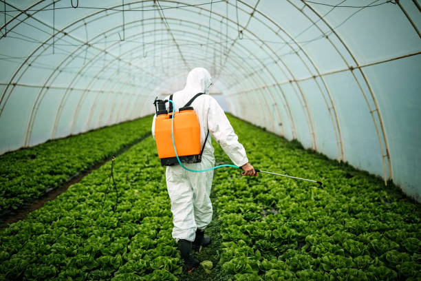 Best Pest Prevention Services  in Oak Hill, WV