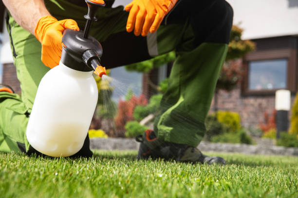 Wildlife Control Services in Oak Hill, WV