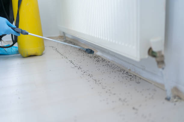Pest Control for Restaurants in Oak Hill, WV